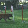 agility 2011-08